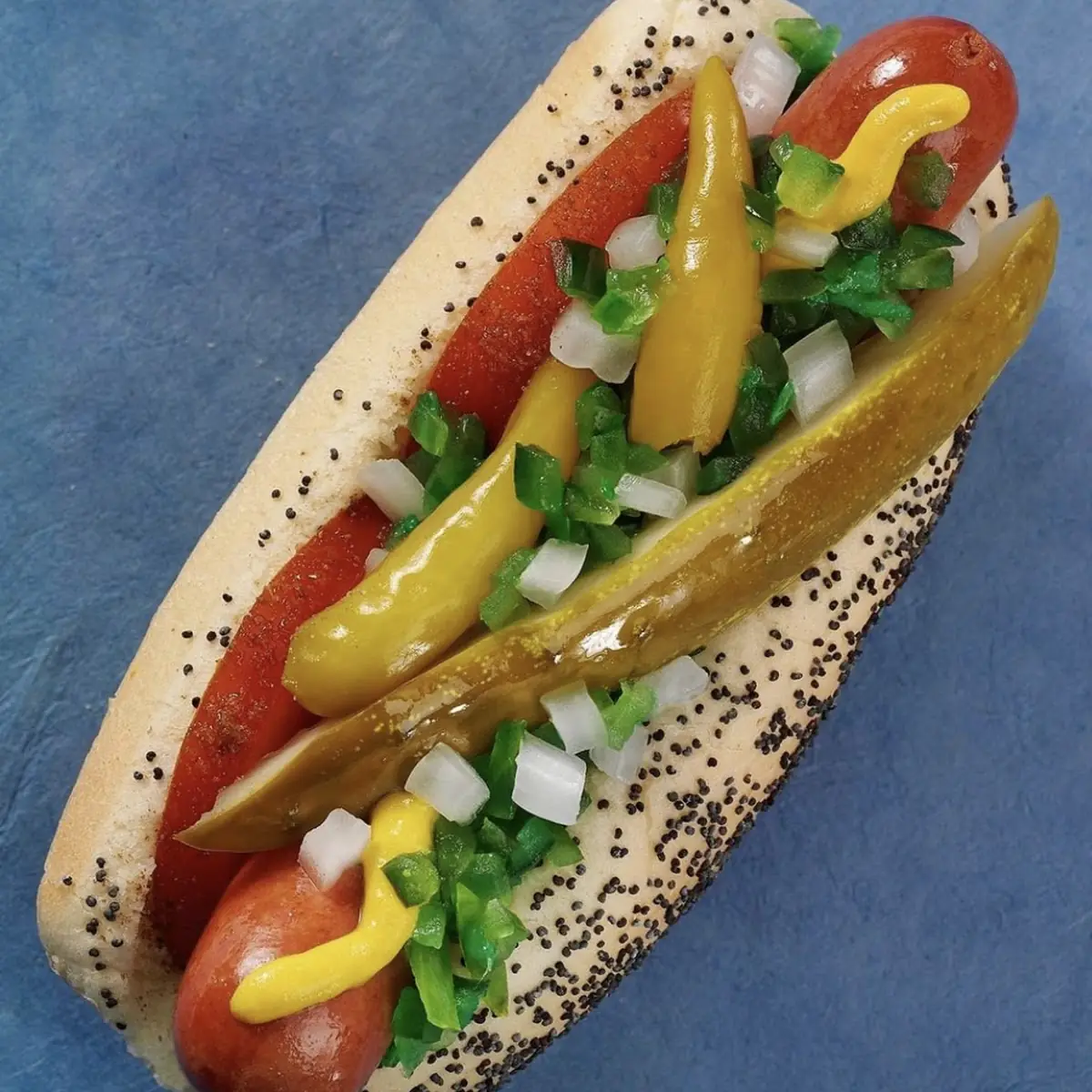 Chicago Style Hot Dog