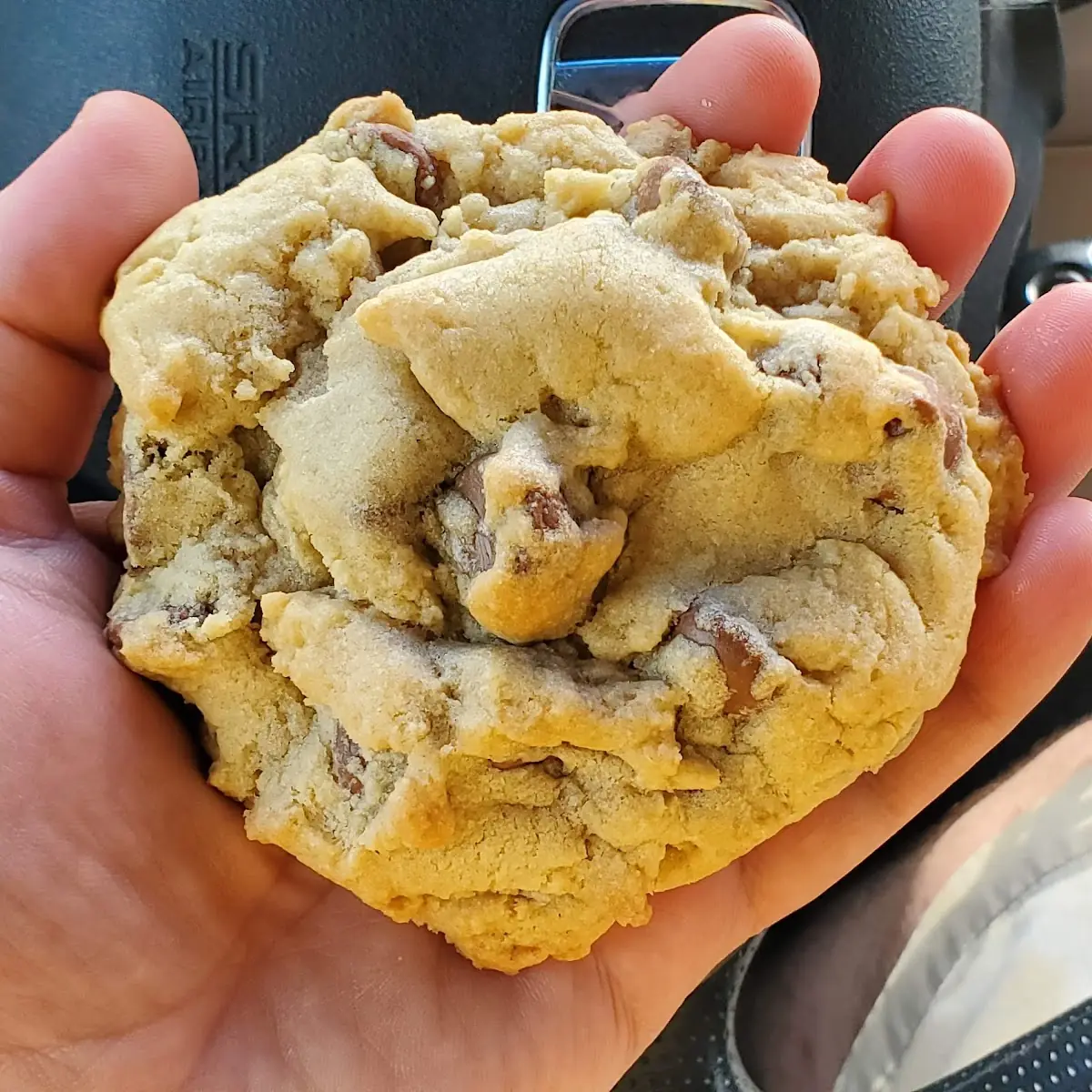 Chocolate Chip Cookie