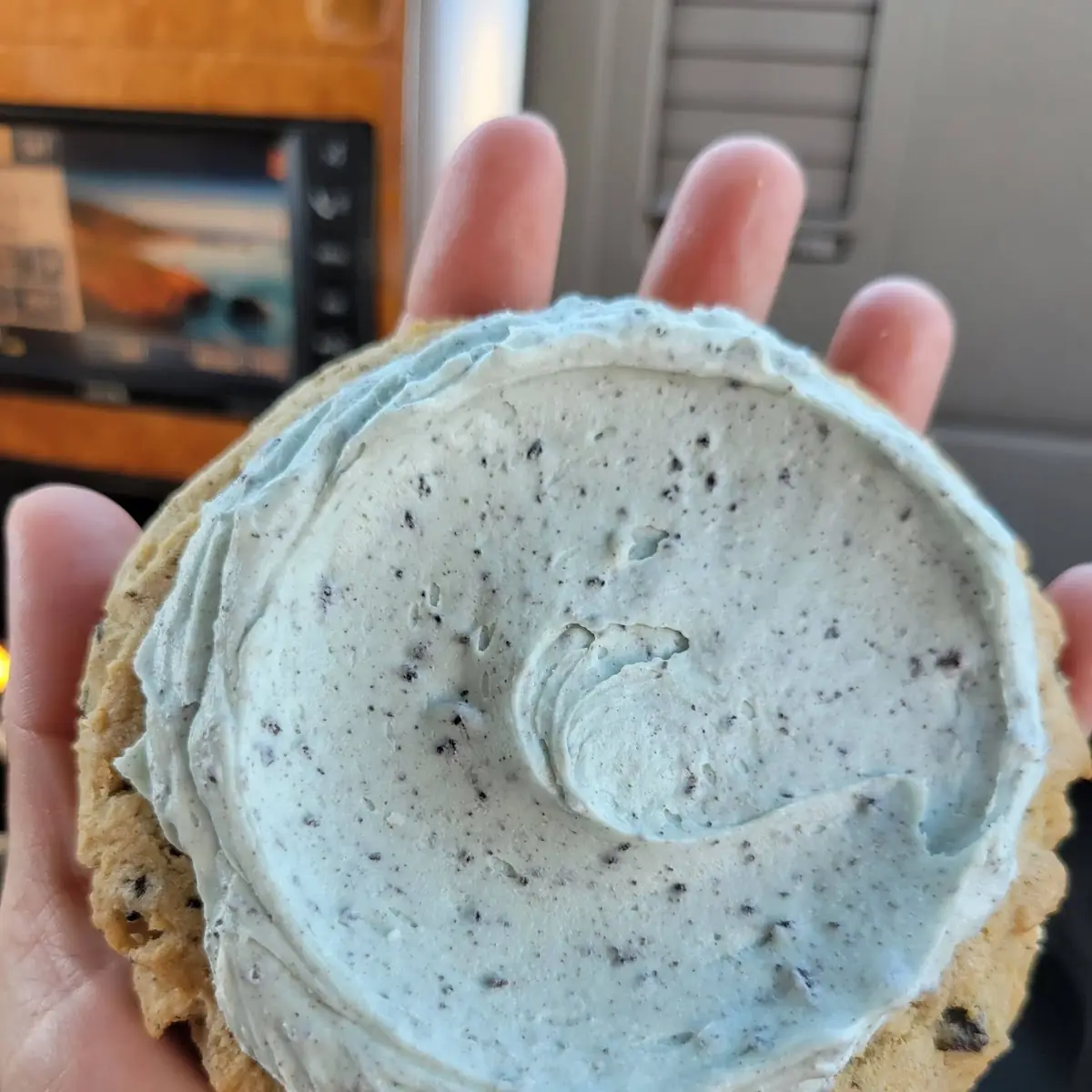 Ice Cream Sandwich