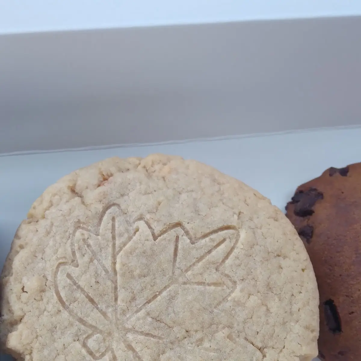 Peanut Butter Cookie