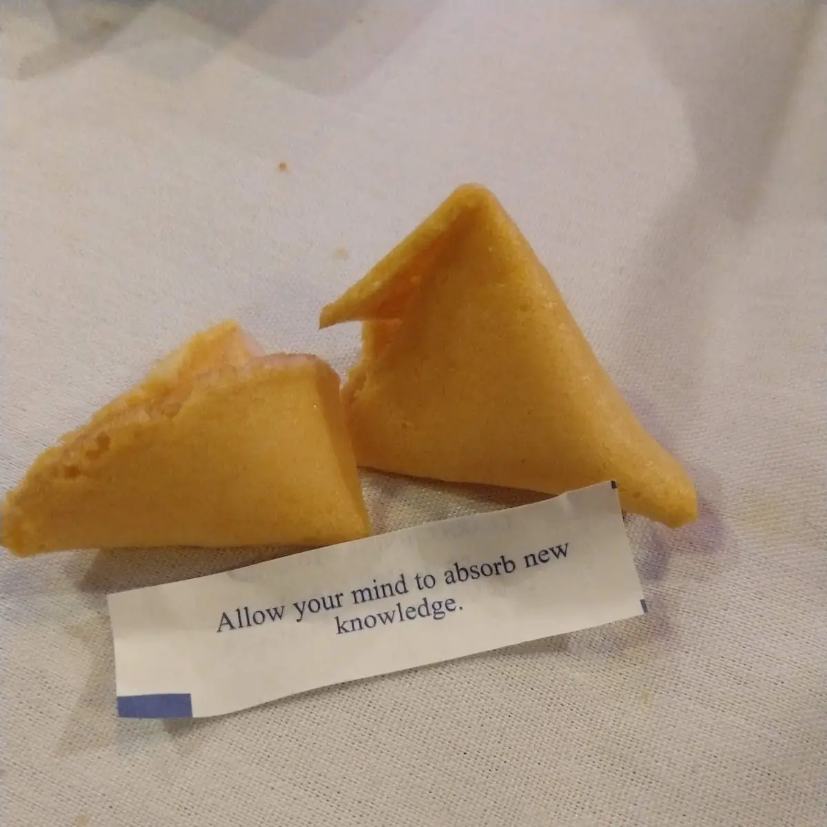 Fortune Cookie