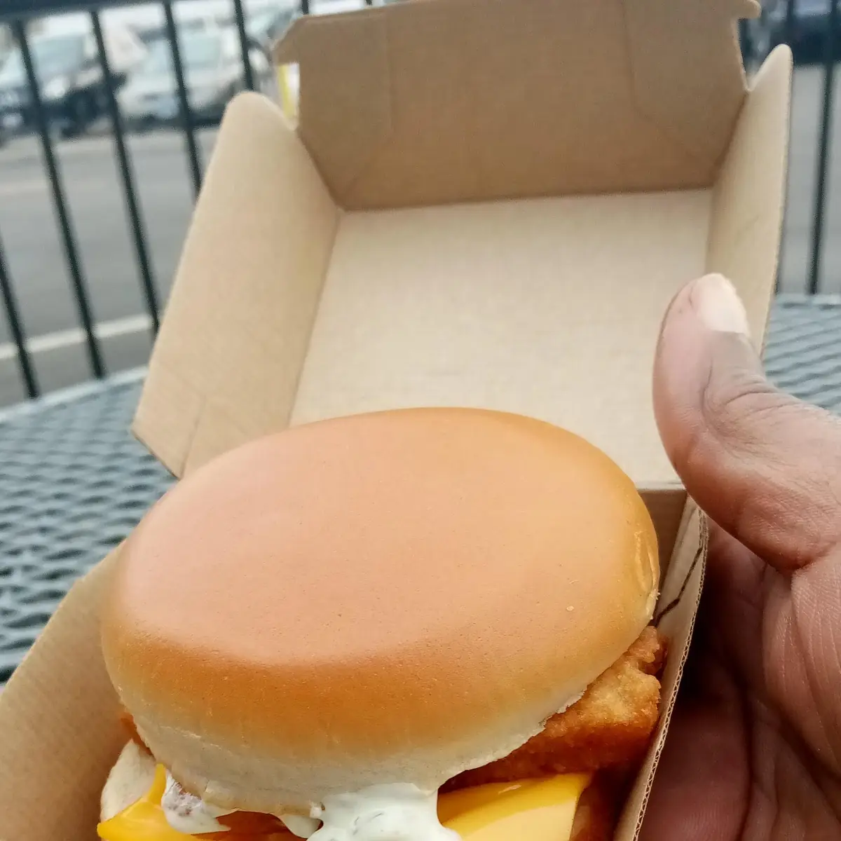 Double Fish Sandwich