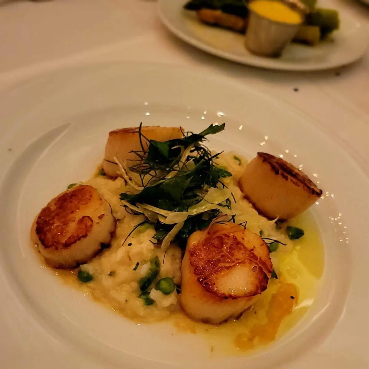 Pan Seared Scallops with Risotto