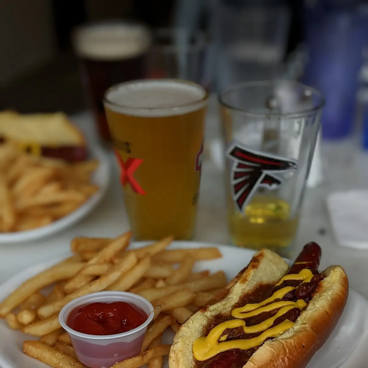 Hot Dog and Fries