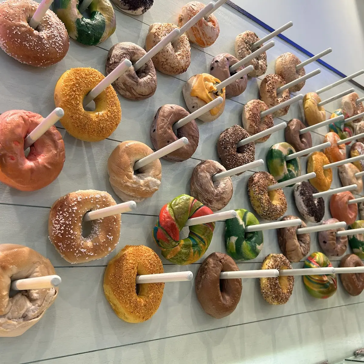 Assorted Bagels on Display
