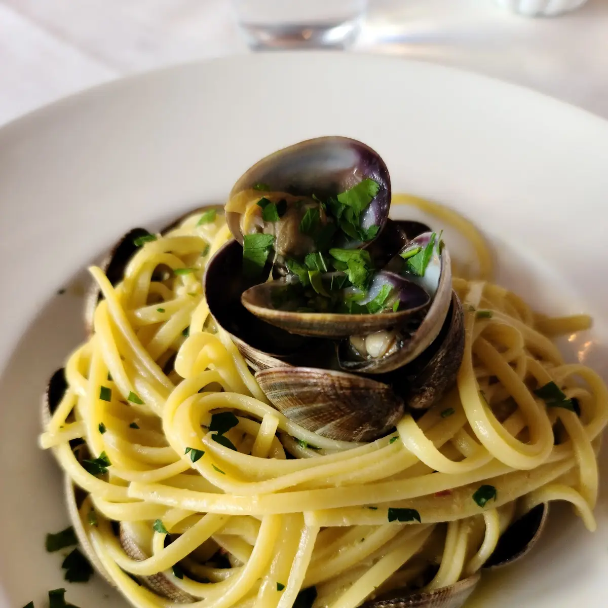 Linguine Alle Vongole