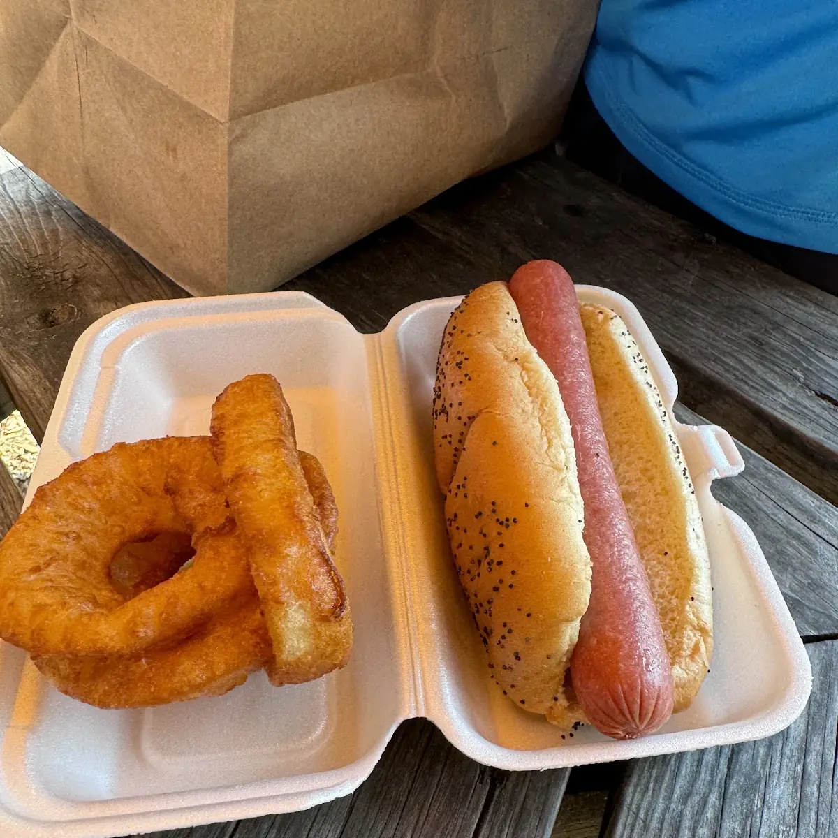 Chicago Dog