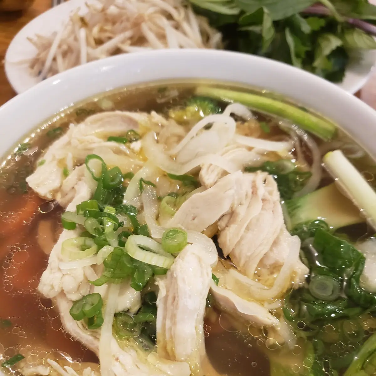 Chicken Soup