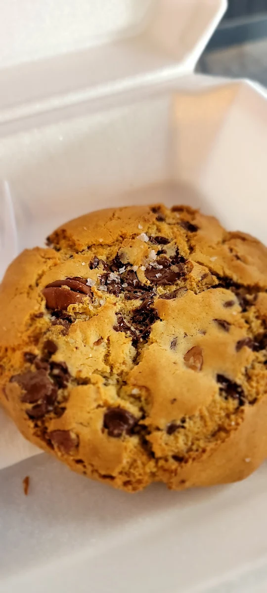 Chocolate Chip