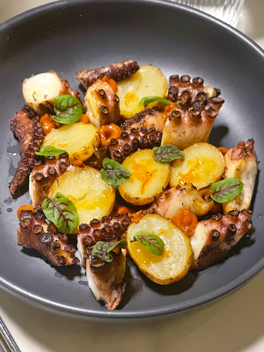 Octopus