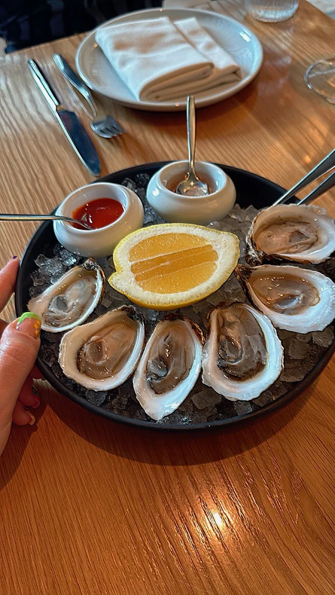 Oysters