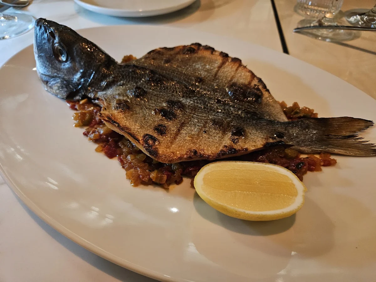 Sea Bream