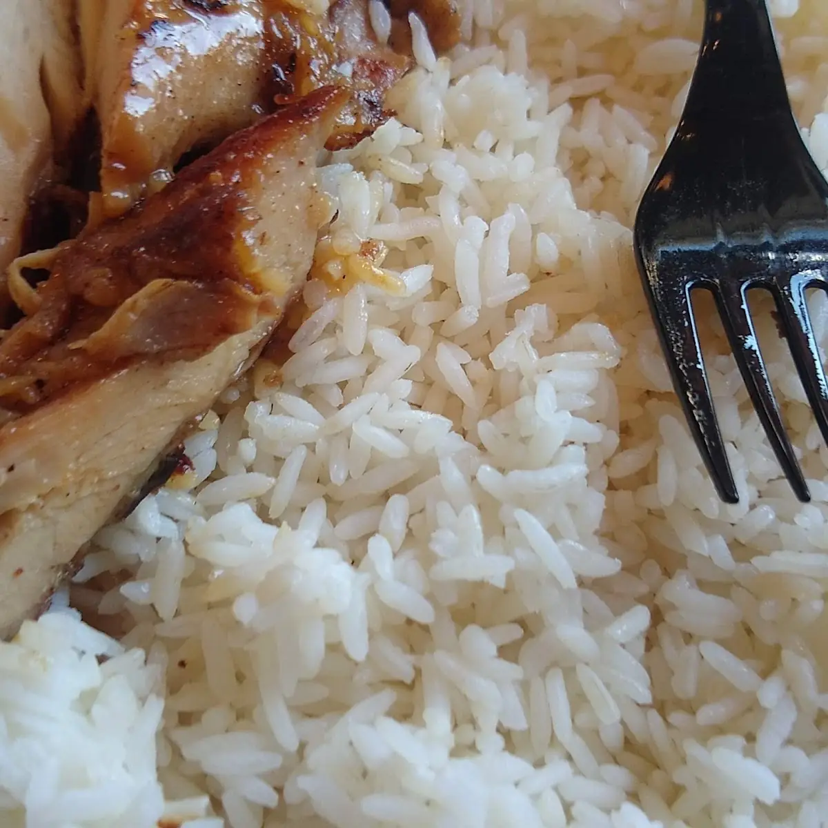 Teriyaki Chicken and White Rice