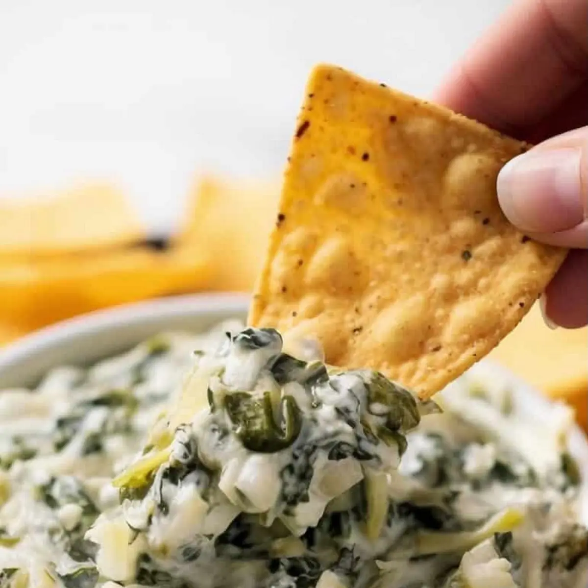 Spinash & Artichoke Dip