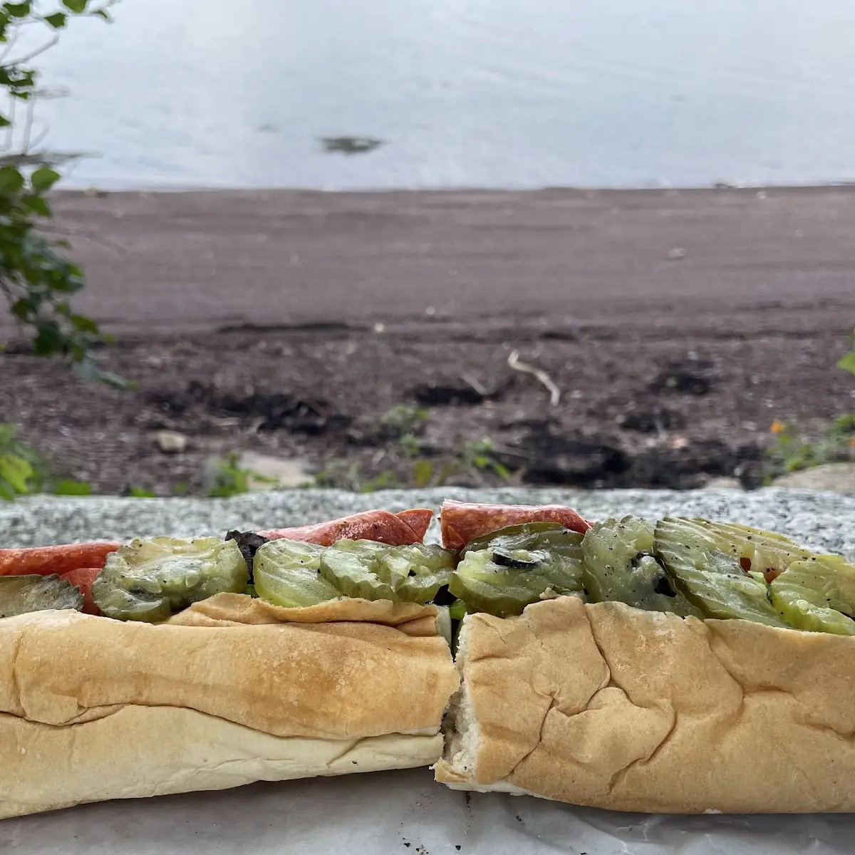 Regular Italian Sub
