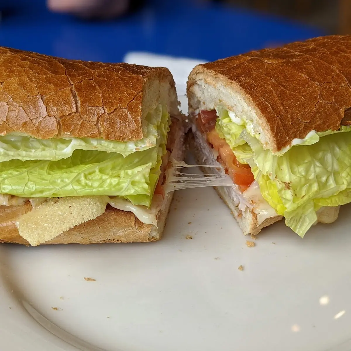 Turkey Club Sandwich