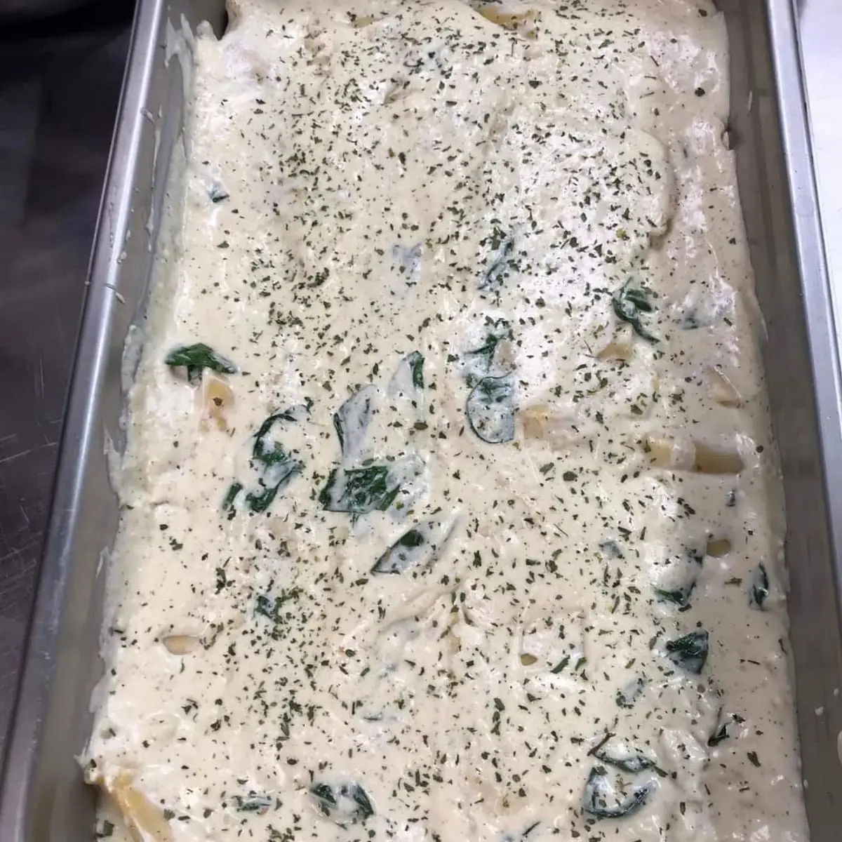 Chicken Alfredo