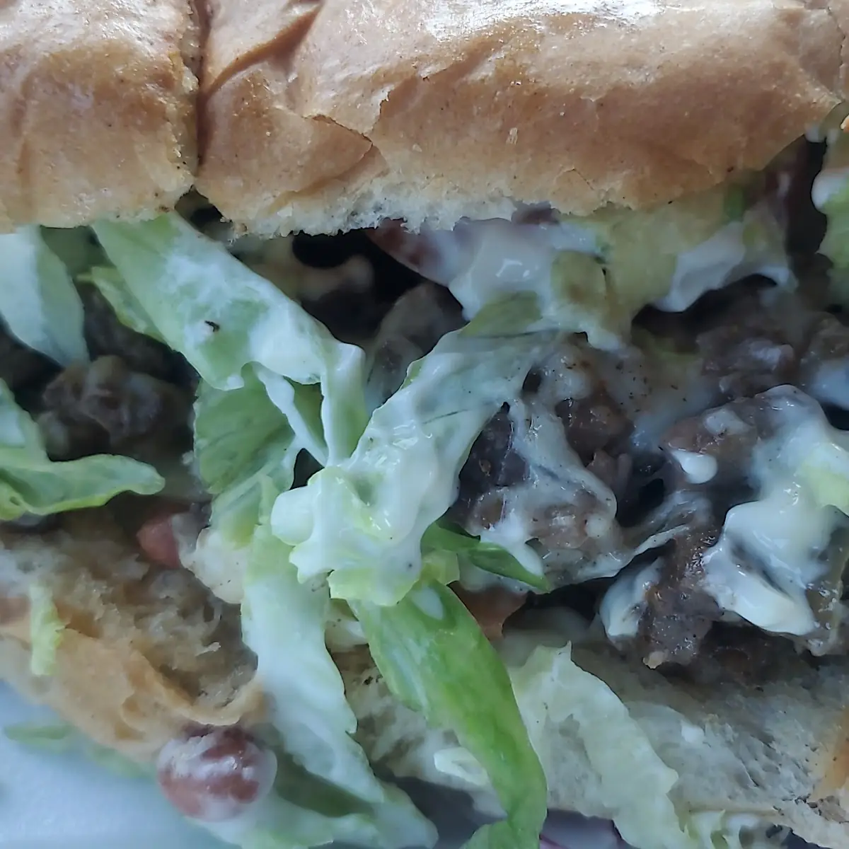 Torta de Carne Asada