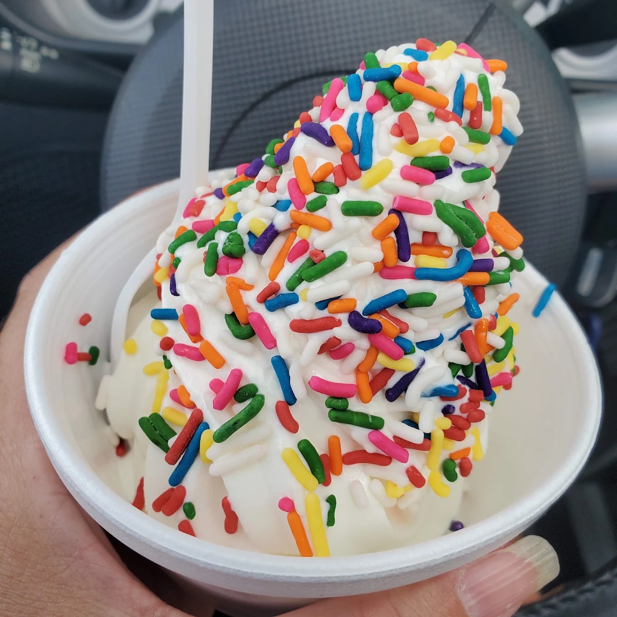 Vanilla Ice Cream with Rainbow Sprinkles