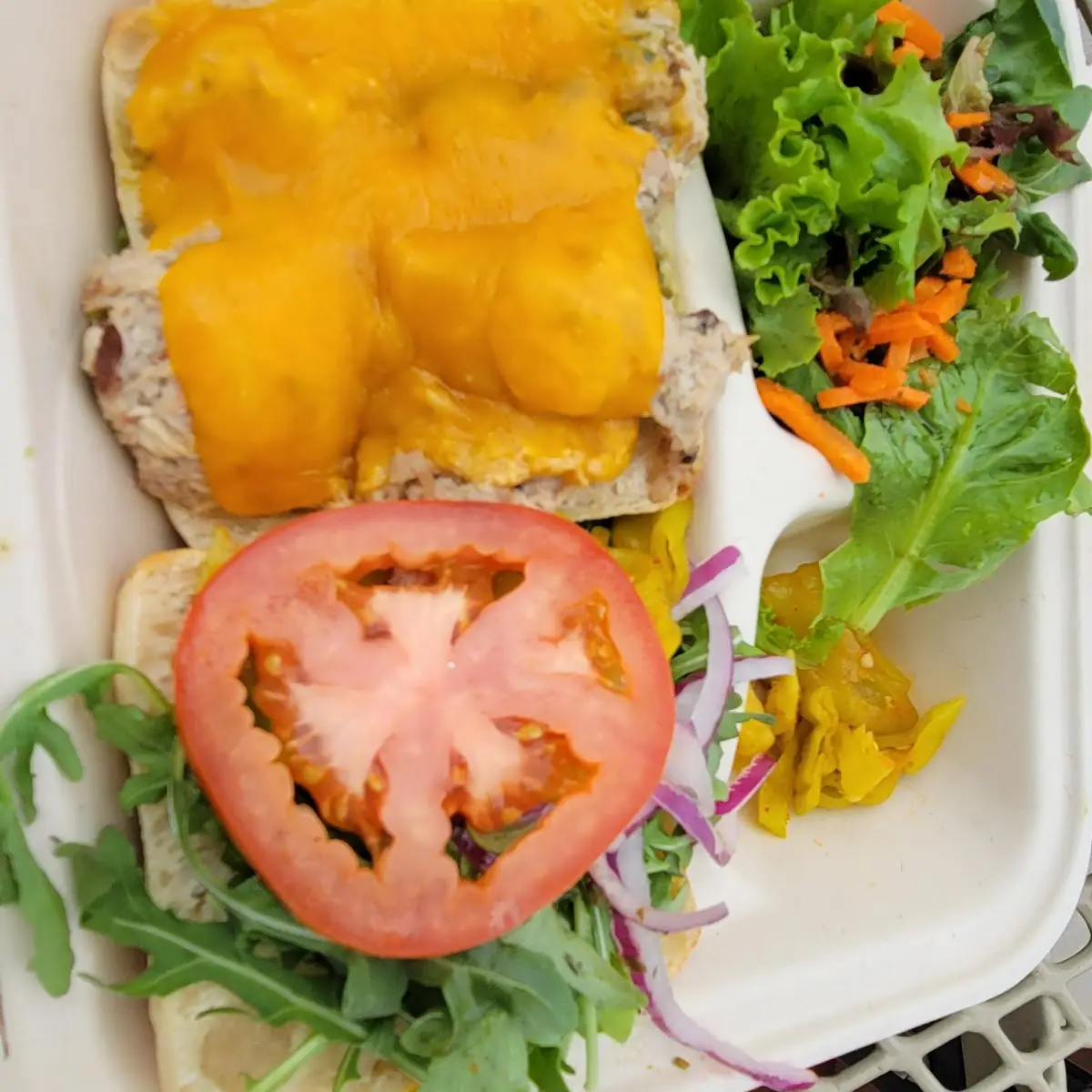 Tuna Melt Sandwich