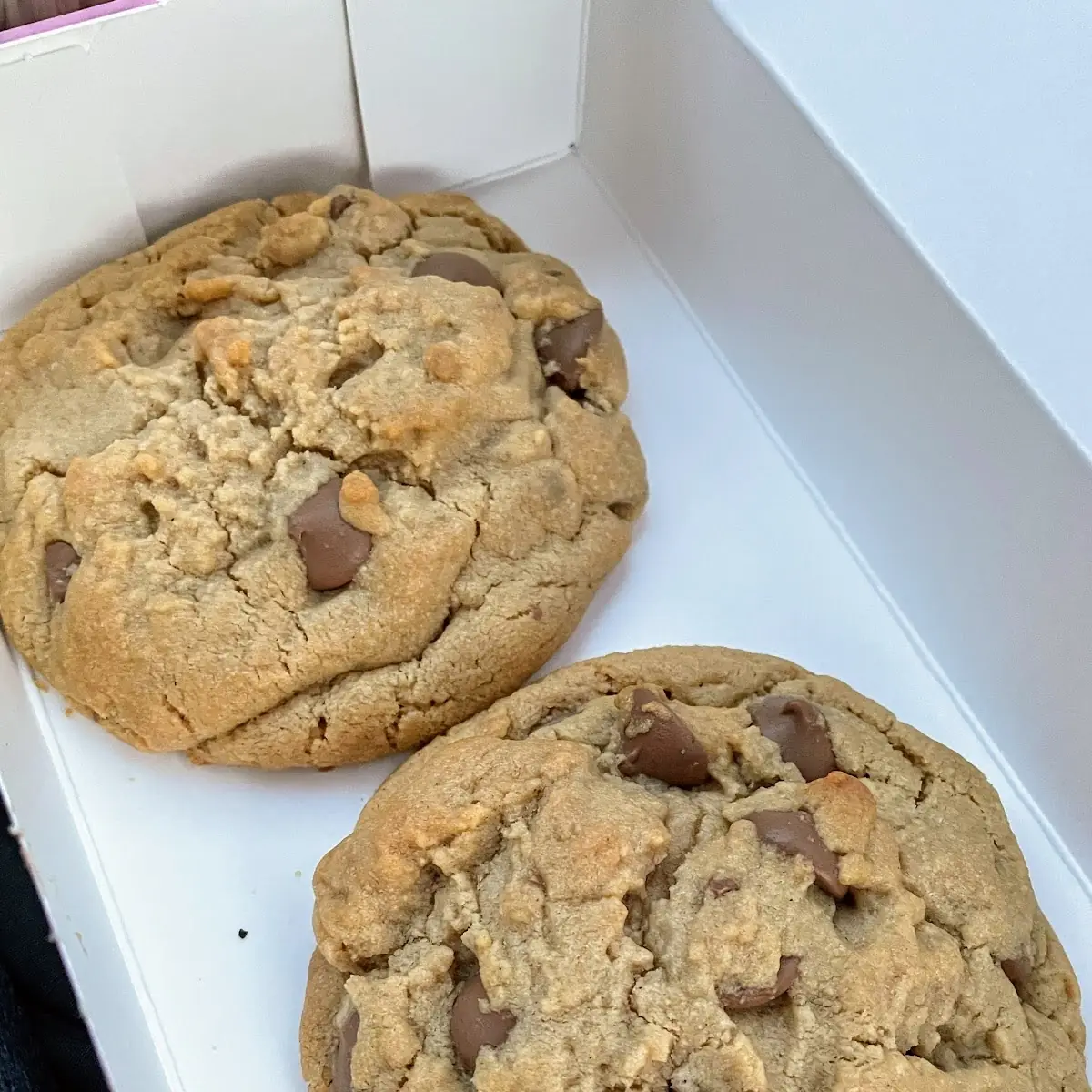 Chocolate Chip Cookie