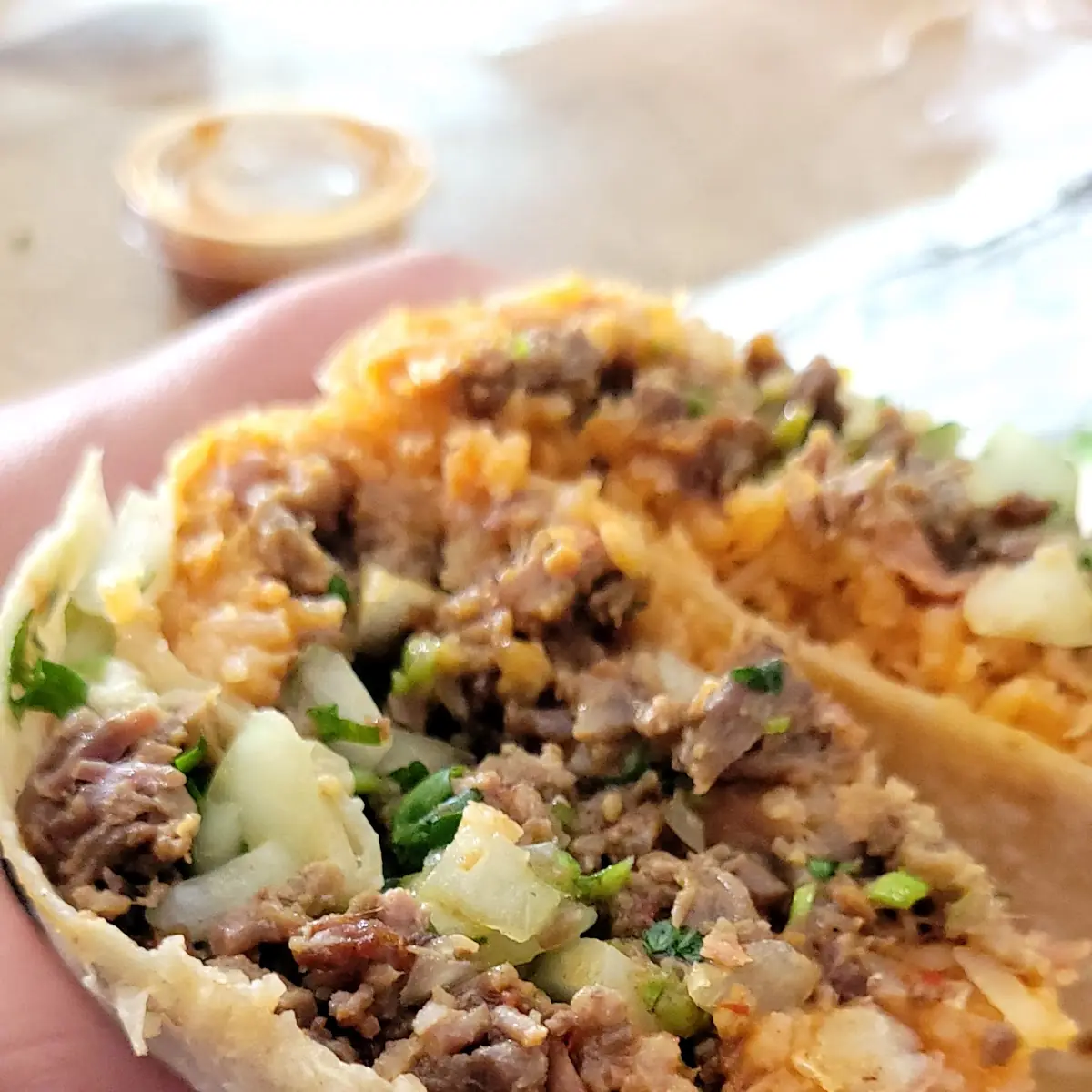 Carne Asada Burrito