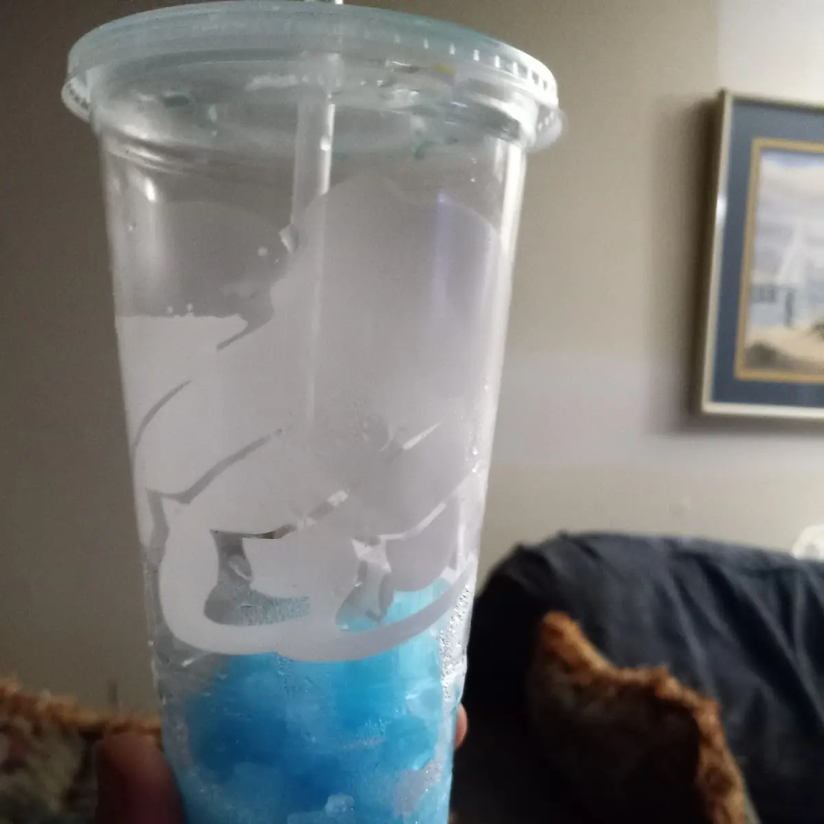 Blue Raspberry Freeze