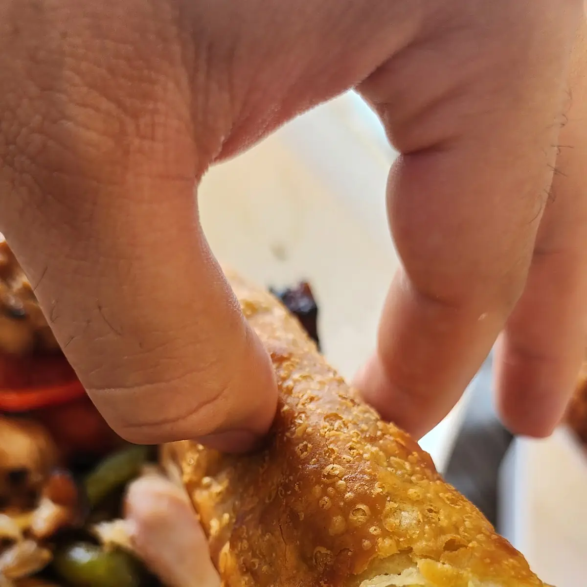 Vegetable Egg Roll