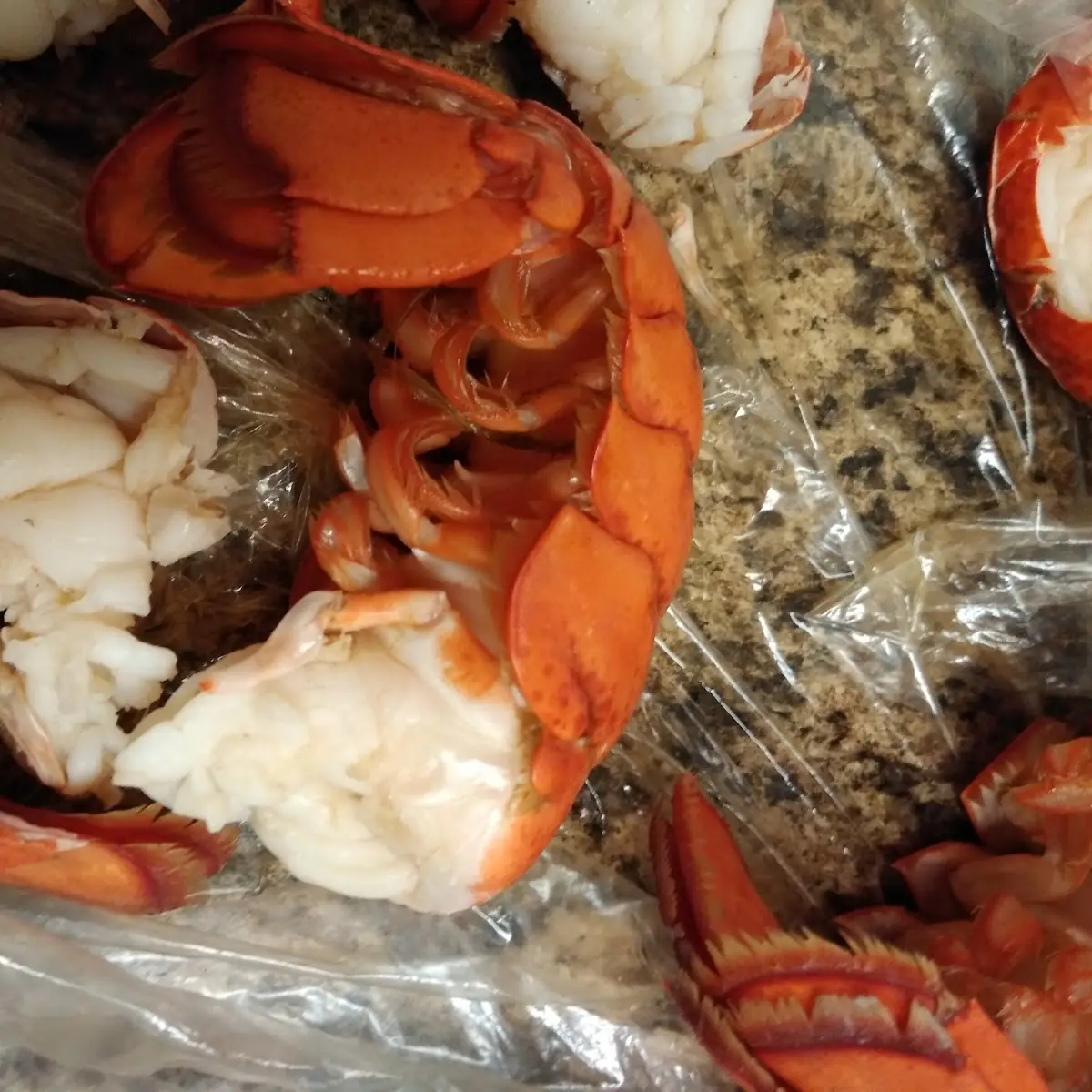 Lobster Tail 6oz