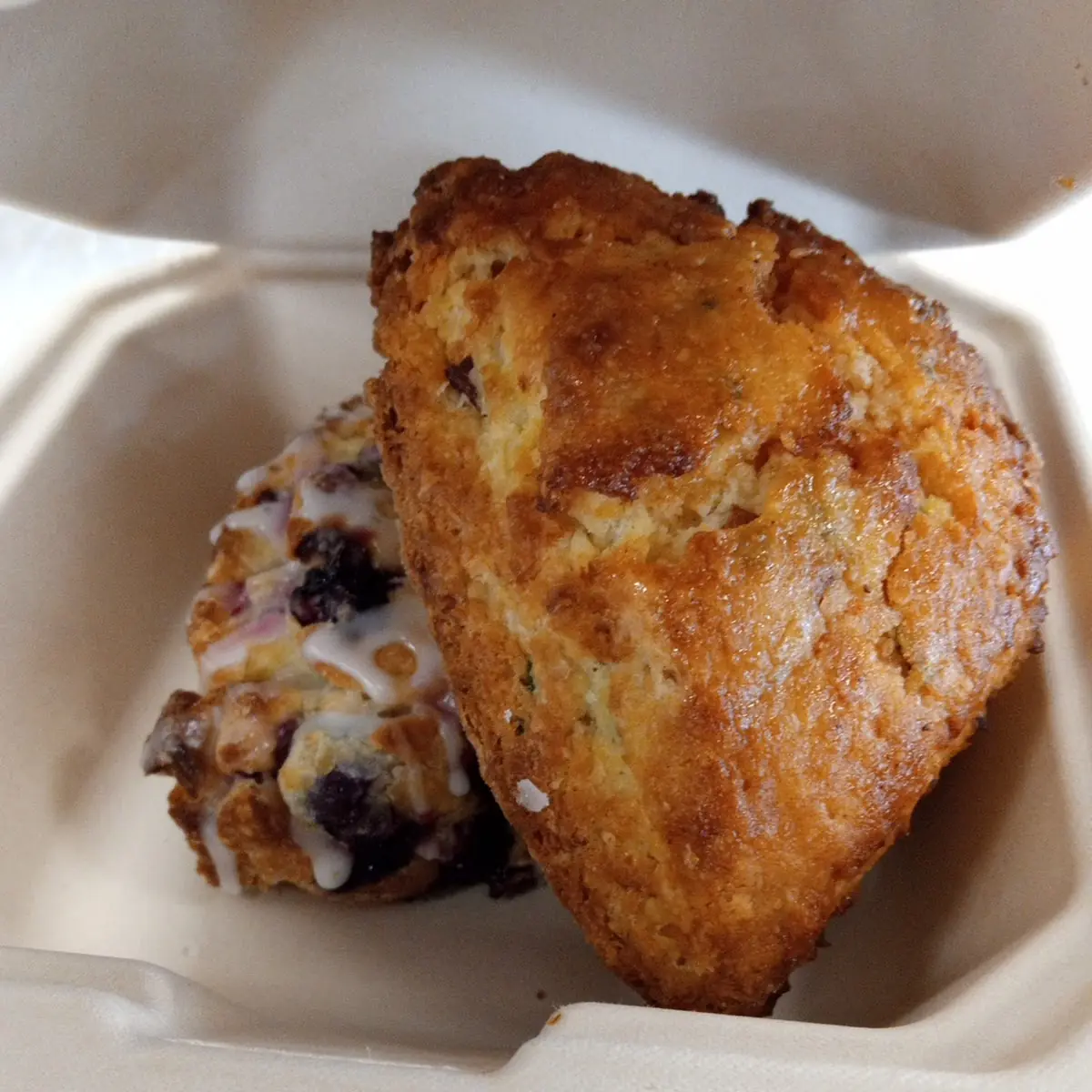 Blueberry Muffin
