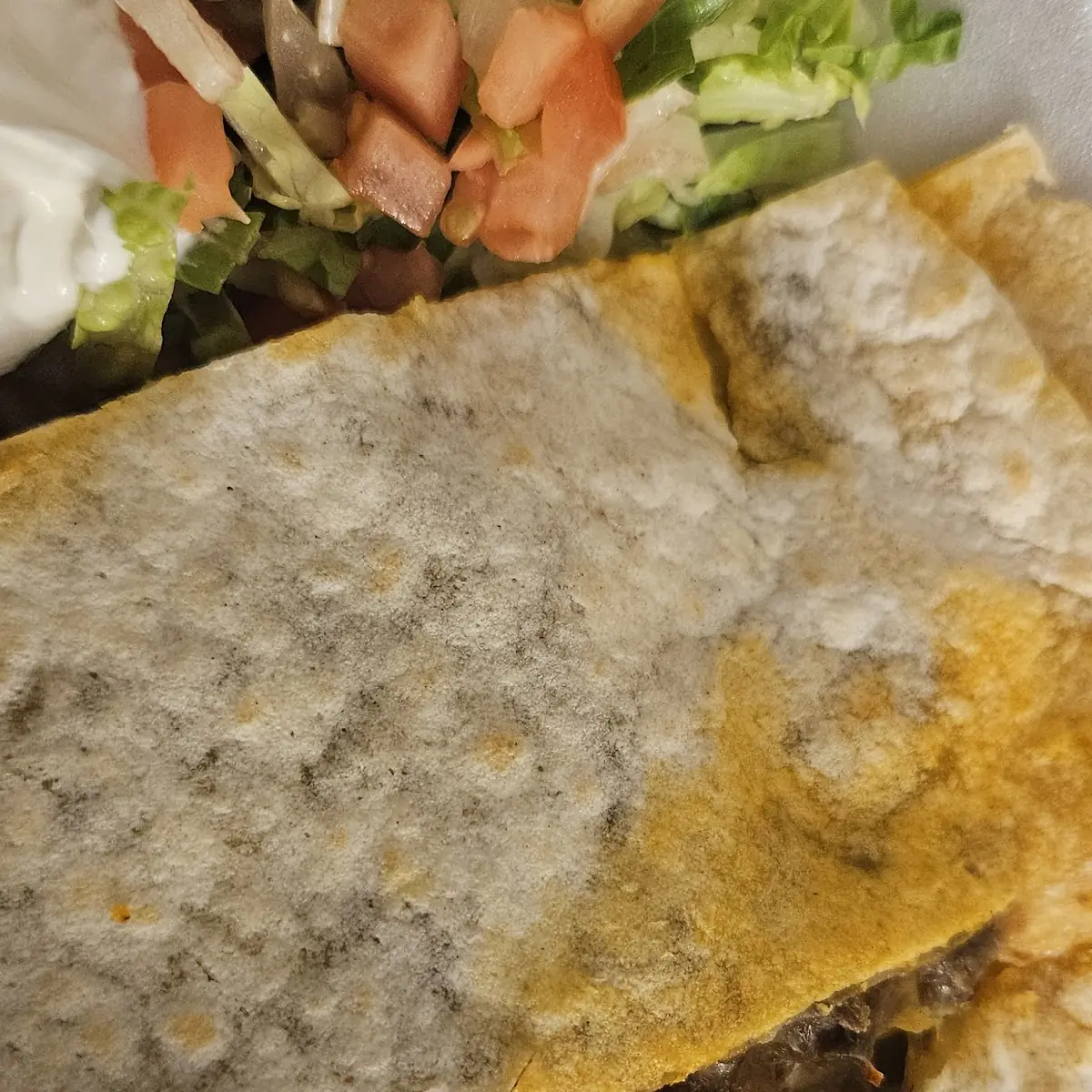 Steak Quesadilla