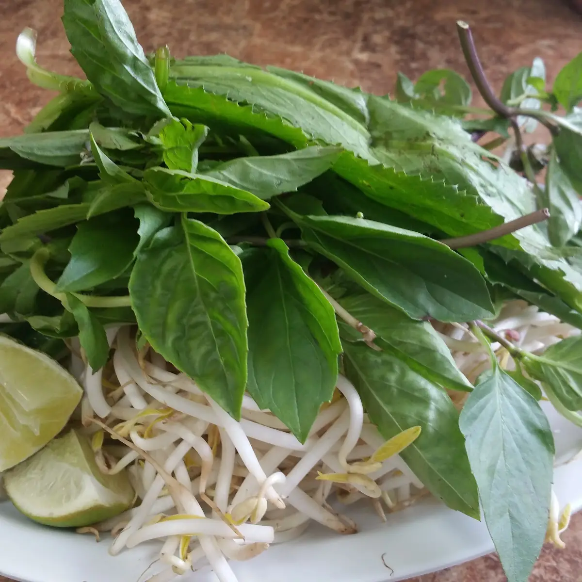 Thai Basil