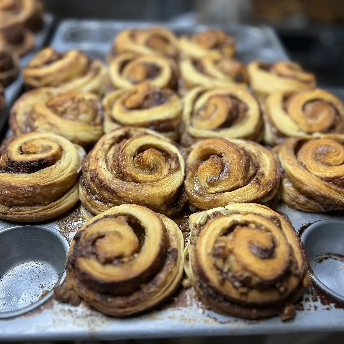 Cinnamon Roll