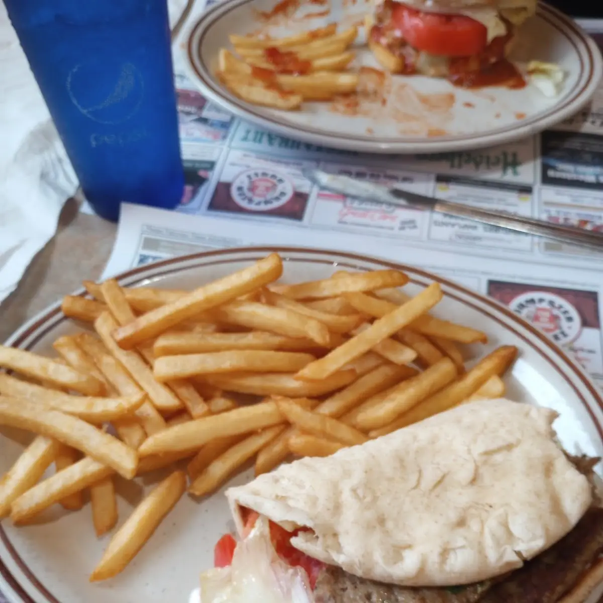 Gyro Sandwich