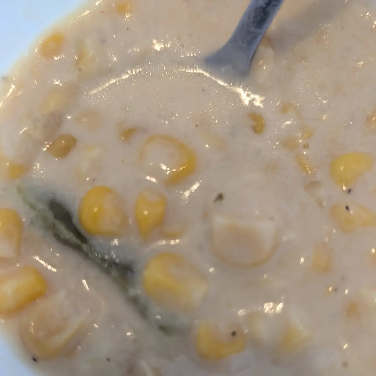 Corn Chowder