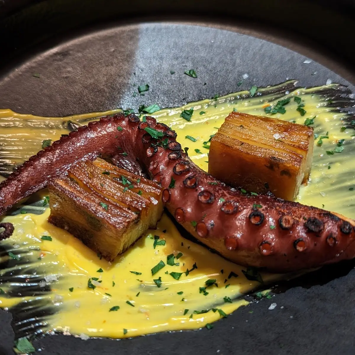 Grilled Octopus