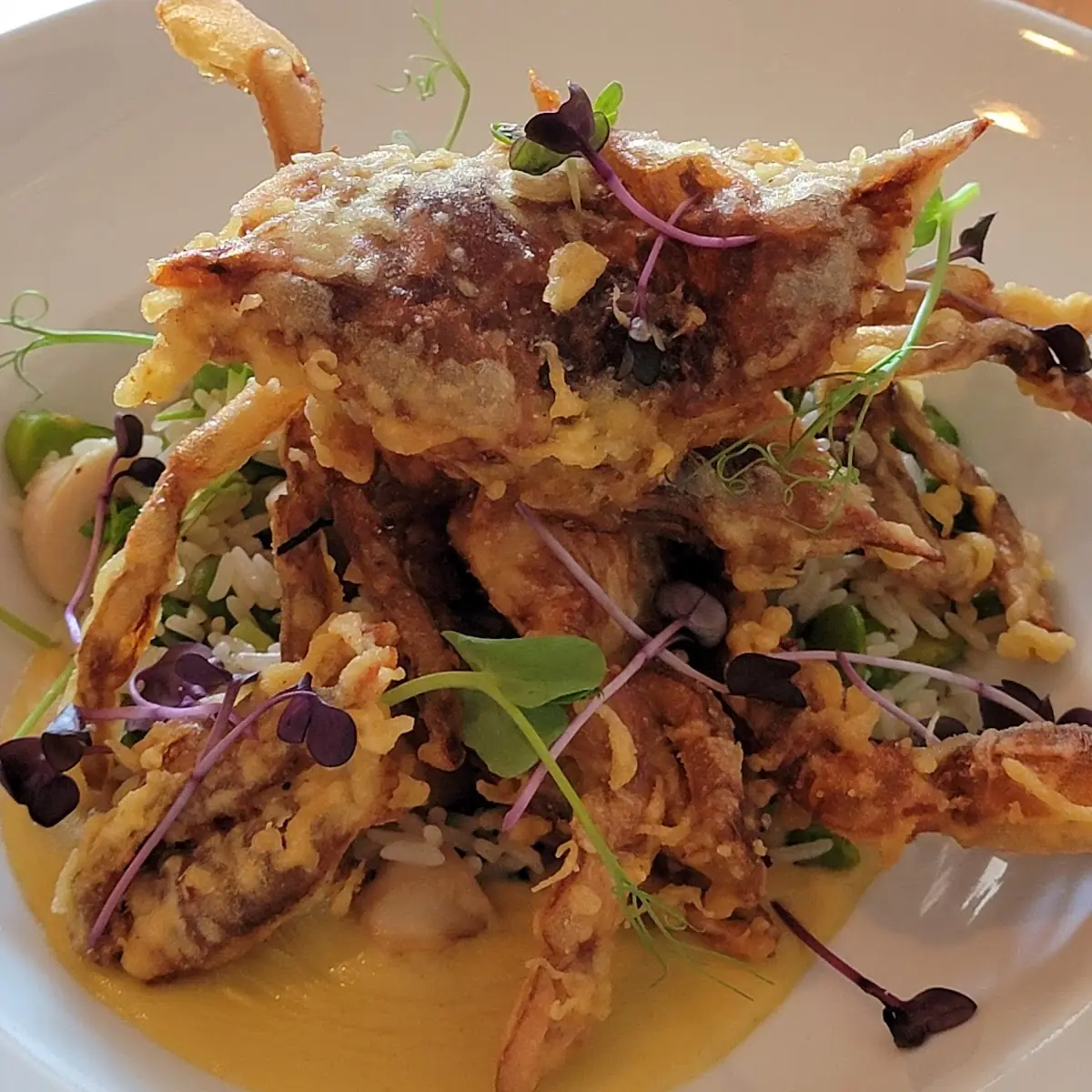 Soft Shell Crabs
