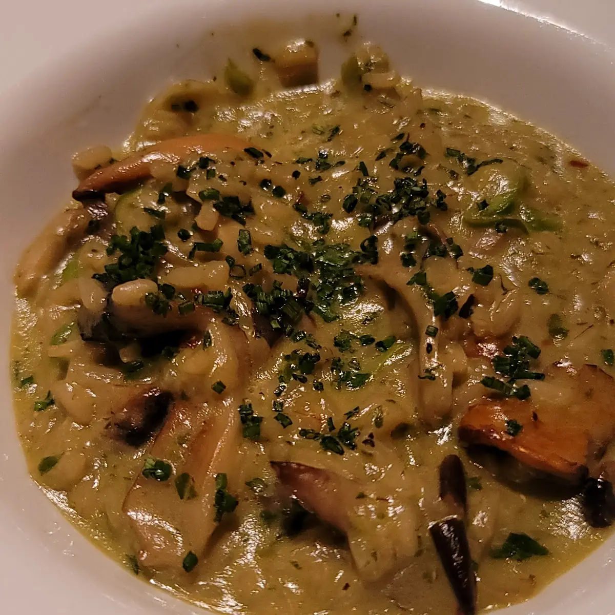 Wild Mushroom Risotto