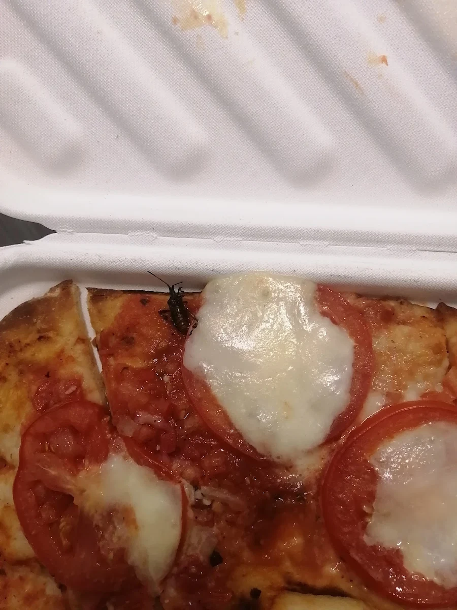 Margherita Flatbread -With a Bug Cooked in It