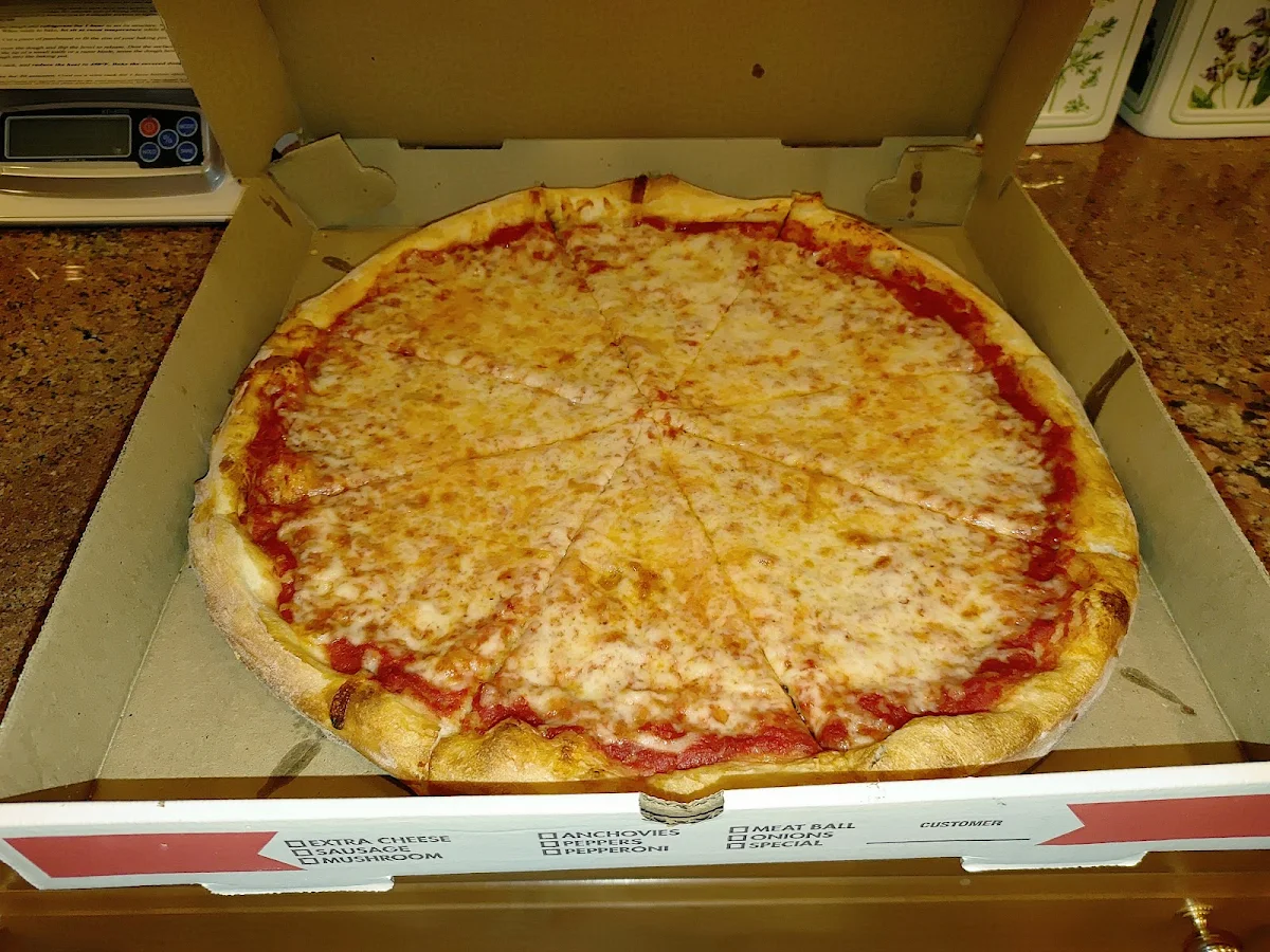 Plain Cheese Pizza