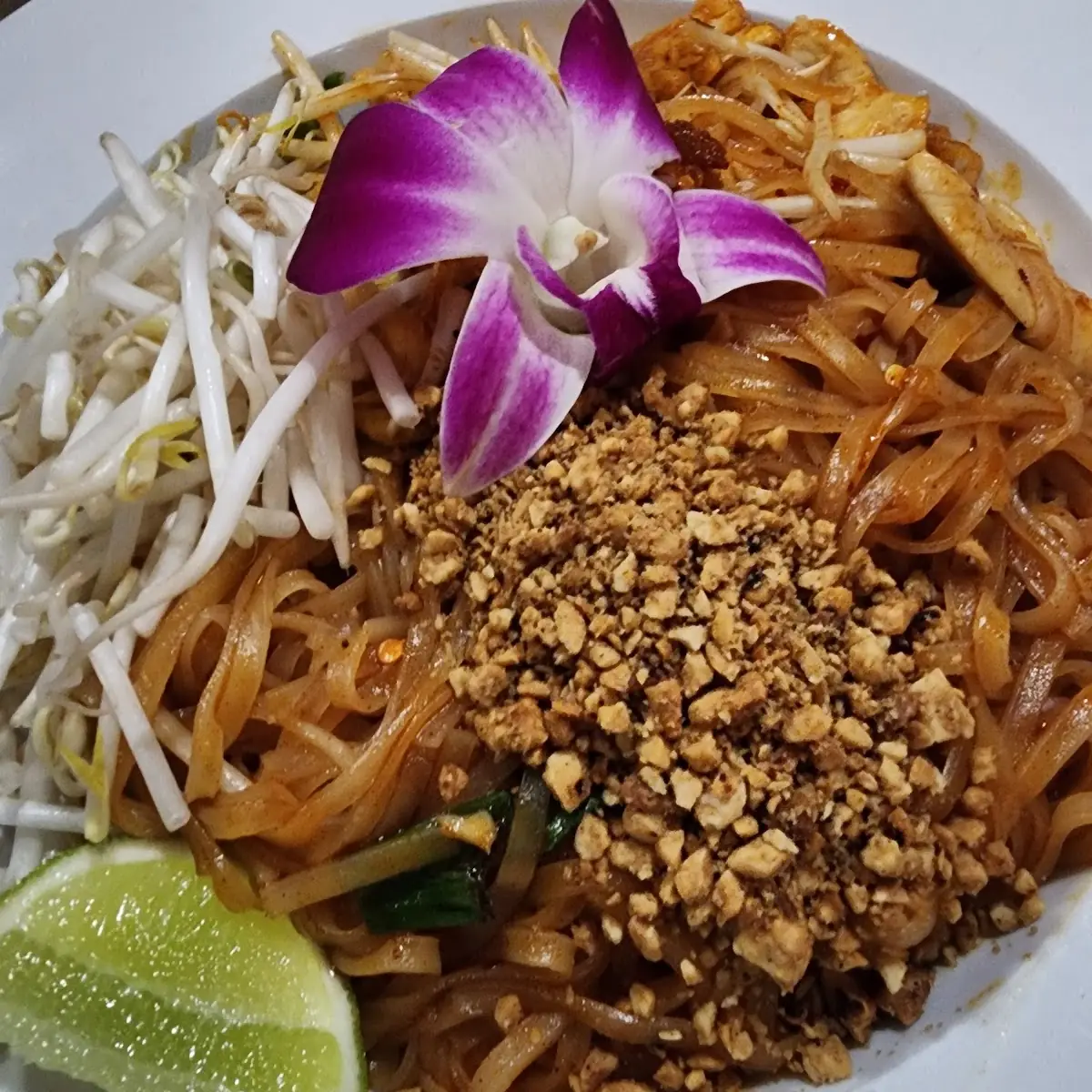 Chicken Pad Thai