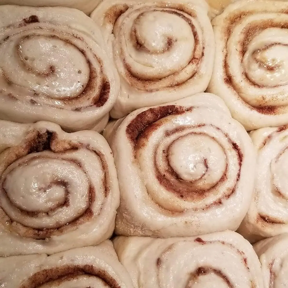 Cinnamon Roll