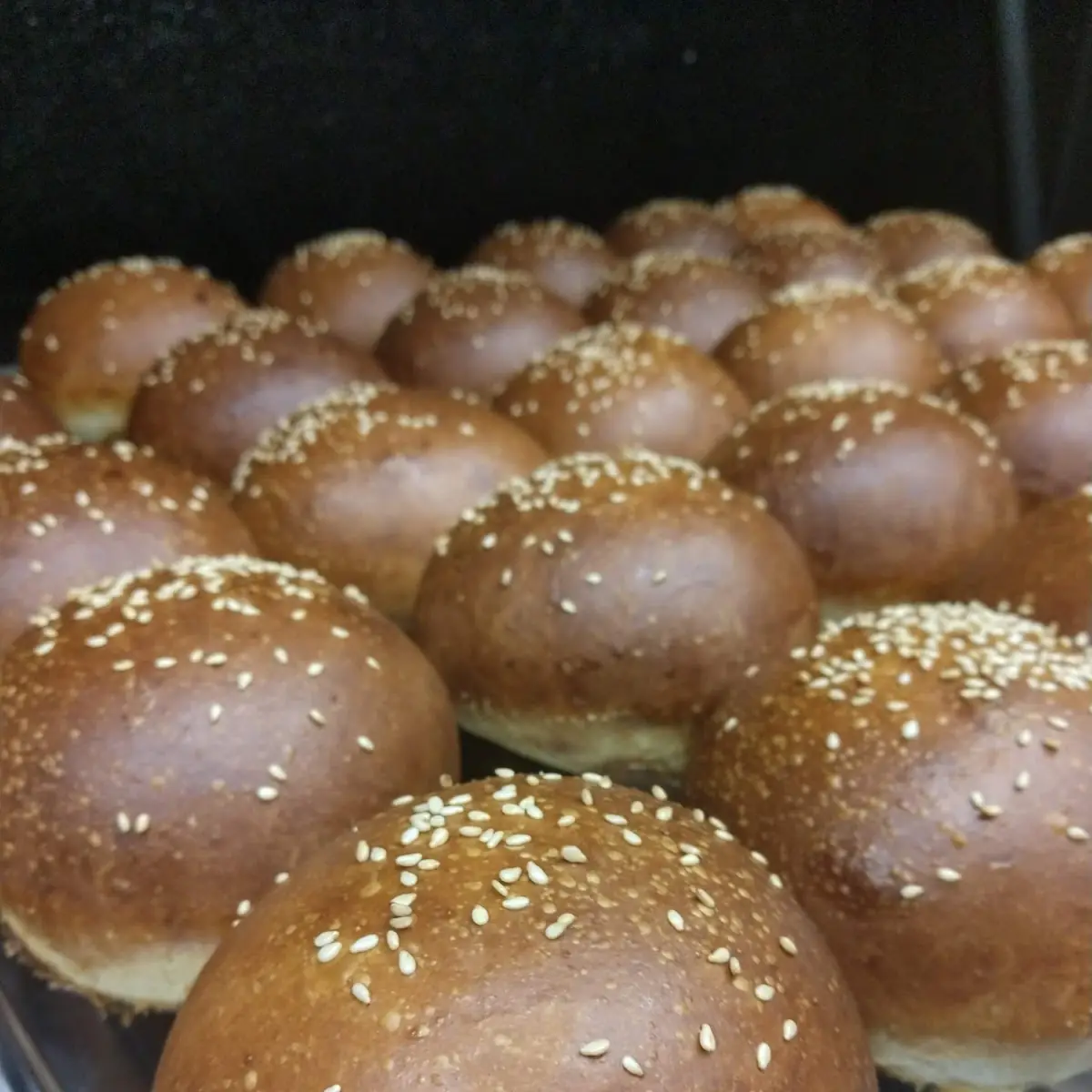House Made Burger Buns