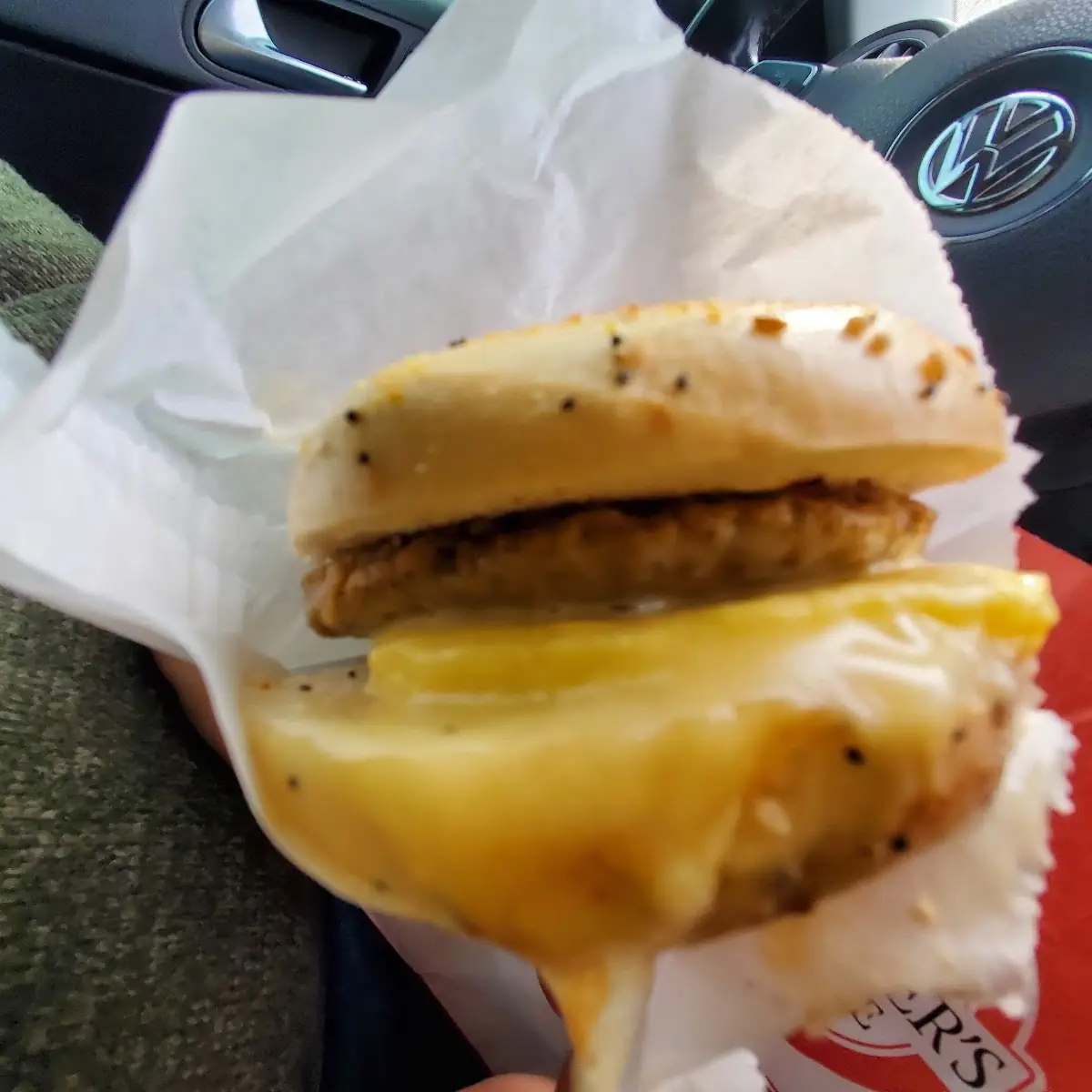 Everything Bagel Sandwich