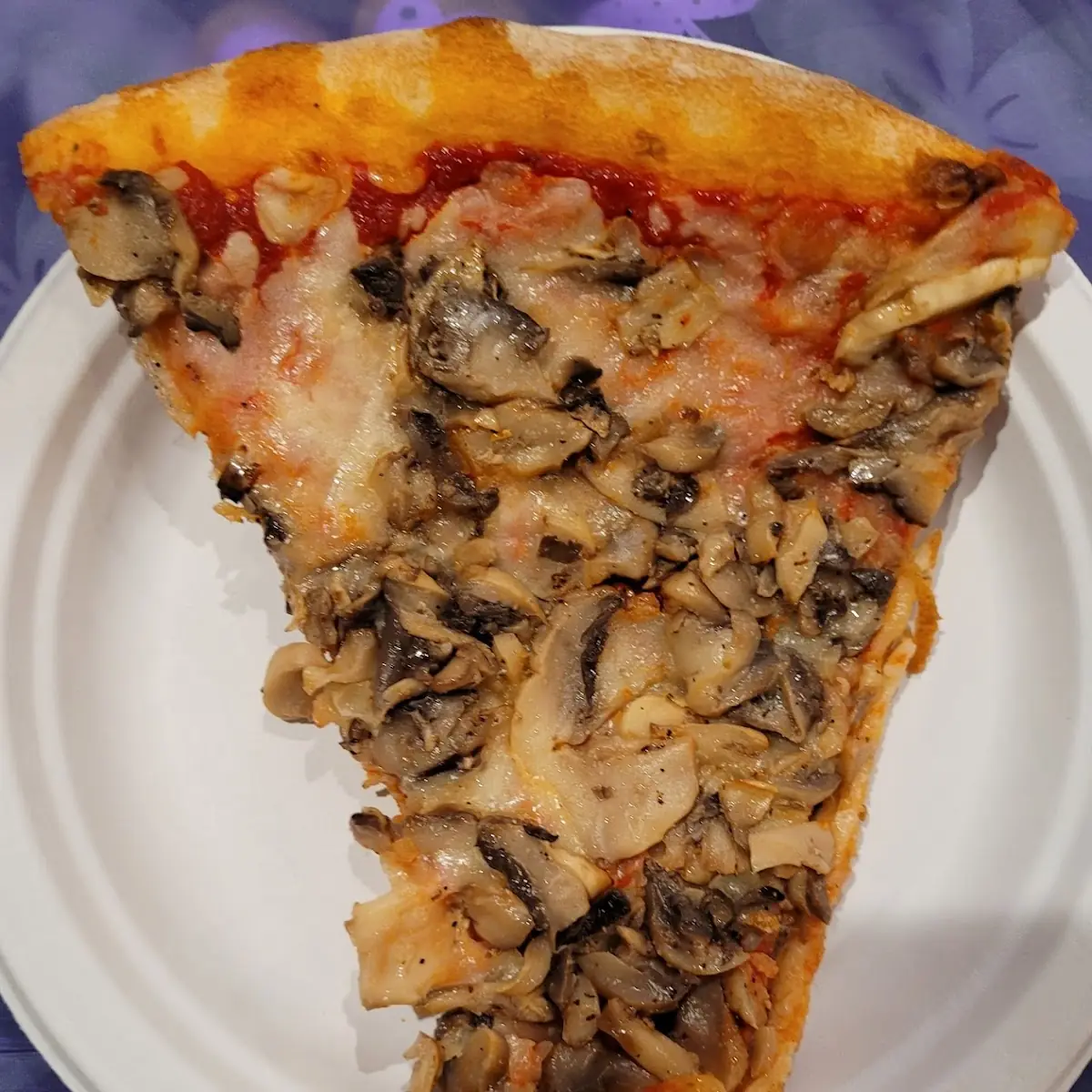 Mushroom Pizza