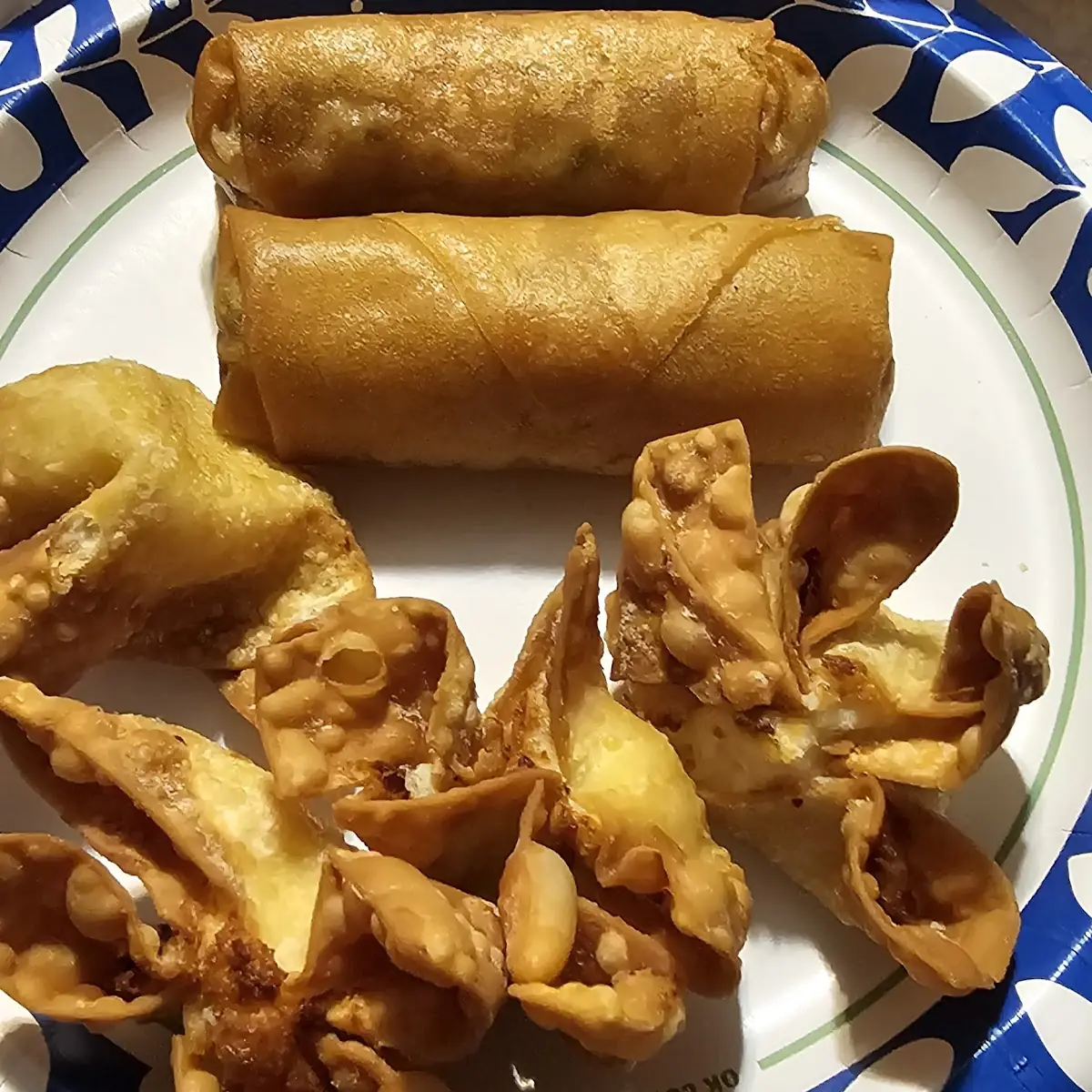 Crab Rangoon and Spring Roll