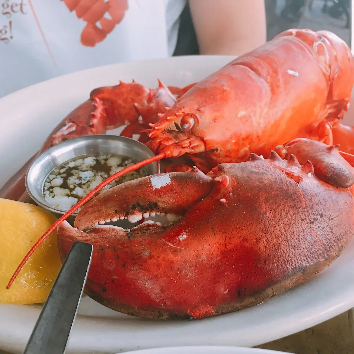 Maine Lobster Bisque