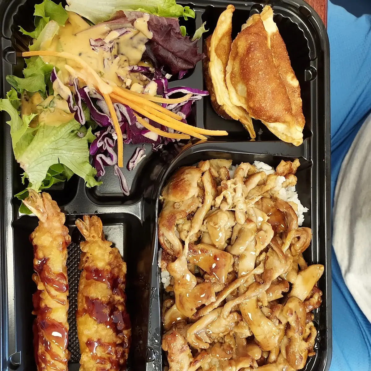 Chicken Beef Teriyaki