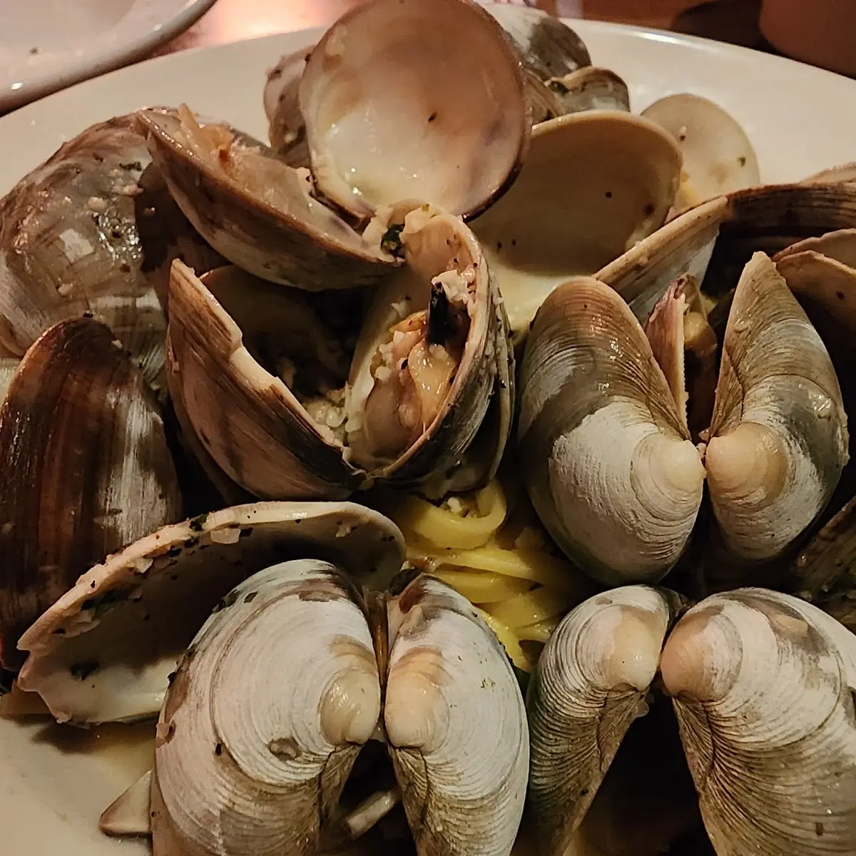 Steamed Clams