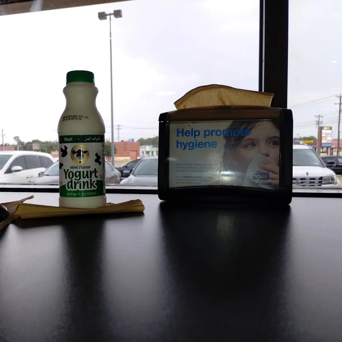 Yogurt Drink Karoun Mint